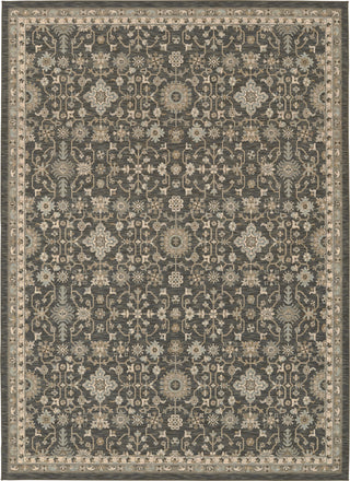 Karastan Titanium Cannes Slate Area Rug main image