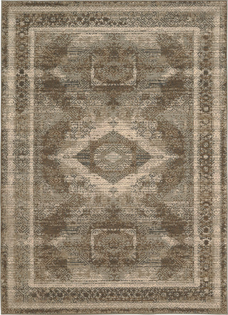 Karastan Titanium Volos Grey Area Rug main image