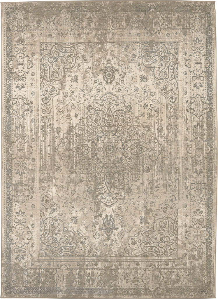 Karastan Kismet Karma Silver Area Rug main image