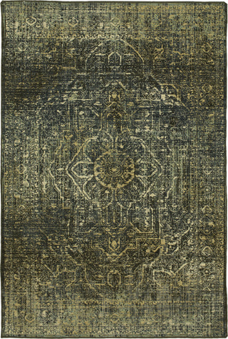 Karastan Kismet Moirai Denim Area Rug Main Image