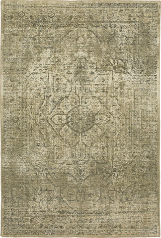 Karastan Kismet Moirai Silver Area Rug Main Image