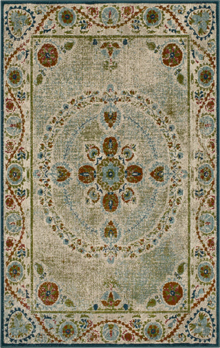 Karastan Meraki Europa Sage by Area Rug Patina Vie main image