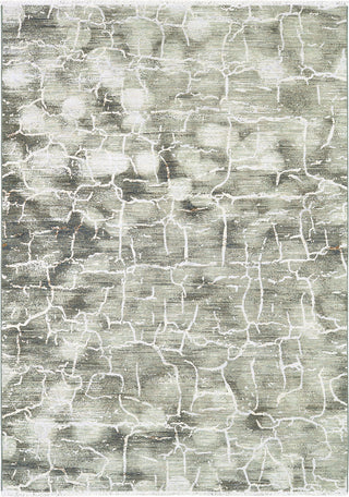 Karastan Titanium Esprit by Virginia Langley Area Rug Main