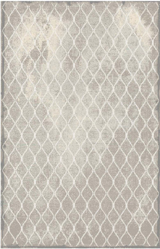 Karastan Titanium Swedish Isle Area Rug by Patina Vie main image