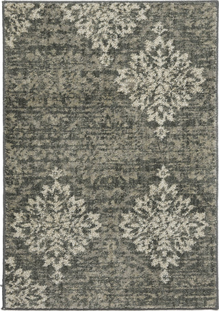 Karastan Euphoria Wexford Ash Grey Area Rug Mirror main image