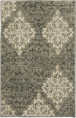 Karastan Euphoria Wexford Willow Grey Area Rug Mirror main image