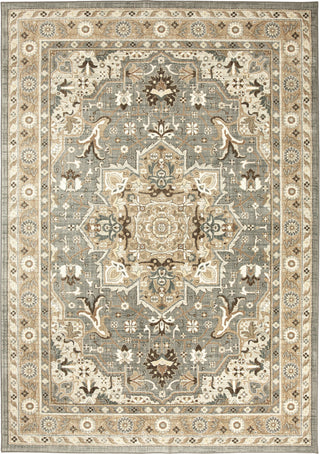 Karastan Euphoria Rhodes Ash Grey Area Rug Main Image 8'x11'