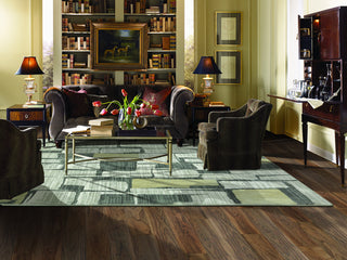 Karastan Euphoria Limerick Sand Stone Area Rug Room Scene