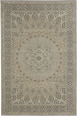 Karastan Touchstone Mahon Willow Grey Area Rug main image