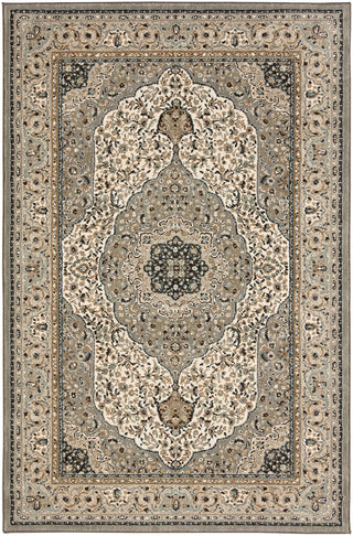 Karastan Touchstone Avonmore Willow Grey Area Rug main image