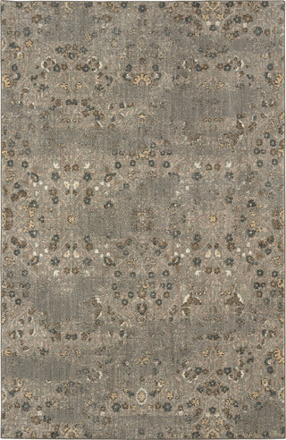 Karastan Touchstone Eme Willow Gray Area Rug Main