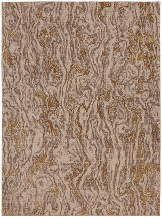 Karastan Enigma Alluvium Brushed Gold Area Rug main image