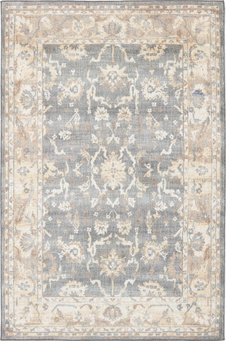 Karastan Euphoria Liffey Willow Gray Area Rug main image