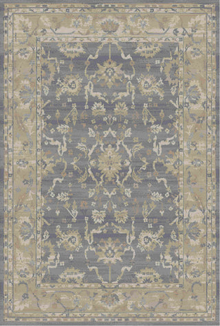 Karastan Euphoria Liffey Willow Gray Area Rug Main