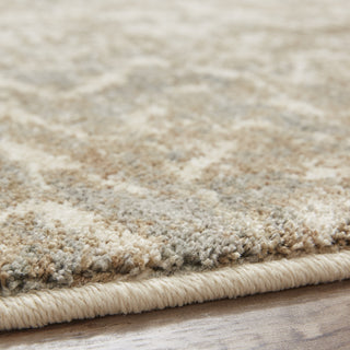 Karastan Touchstone Le Jardin Hazelnut Area Rug by Patina Vie Pile Image