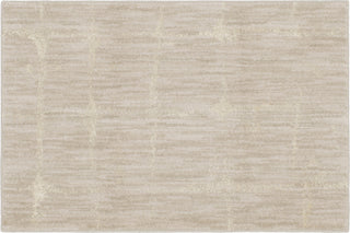 Karastan Enigma Anomaly Alabaster Area Rug Accent