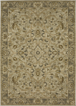 Karastan Touchstone Portree Willow Grey Area Rug Main Image 8'x11' Size 