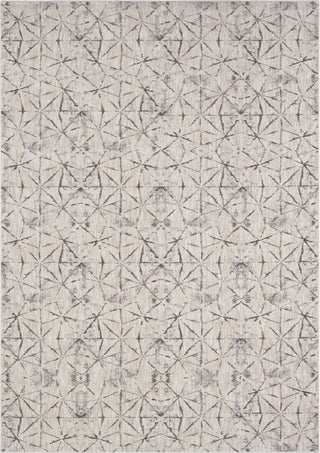 Karastan Enigma Quandry Smokey Gray Area Rug Main Image