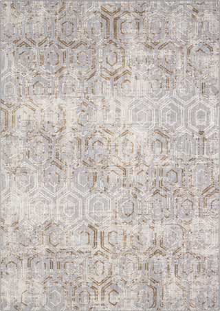 Karastan Cosmopolitan Kew Dove Area Rug