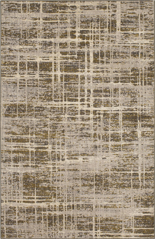 Karastan Enigma Teramo Dove Area Rug main image