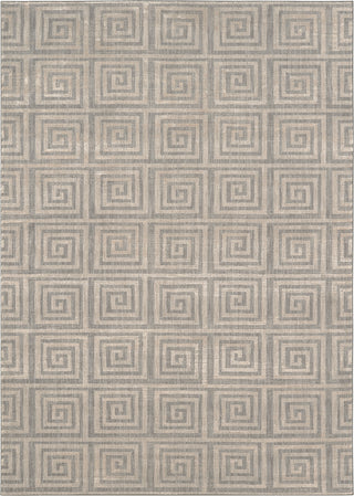 Karastan Cosmopolitan Galena Grey Area Rug main image