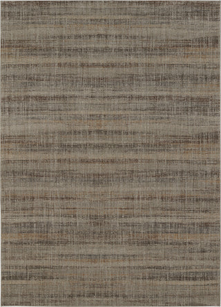 Karastan Elements Fowler Grey Area Rug main image