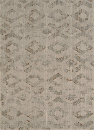 Karastan Elements Abilene Grey Area Rug main image