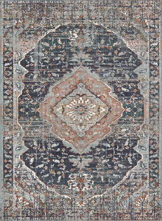 Karastan Soiree Solace Indigo Area Rug Main Image