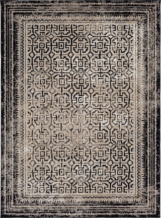 Karastan Rendition Adras Soot Area Rug by Stacy Garcia Main Image