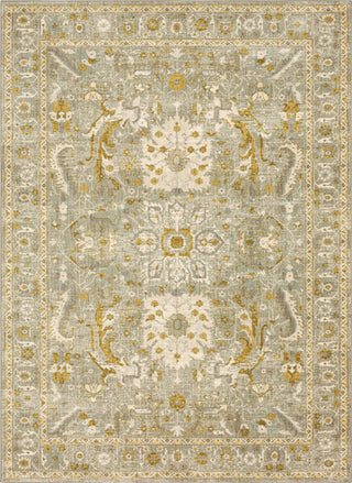 Karastan by (Series 1) Amara Willow Grey Area Rug Bobby Berk main image