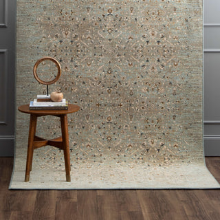 Karastan Titanium Andeols Seaglass Area Rug Room Scene Featured