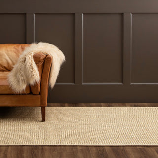 Karastan Modern Classics Basketweave Sisal Neutral Tri Color Area Rug 
