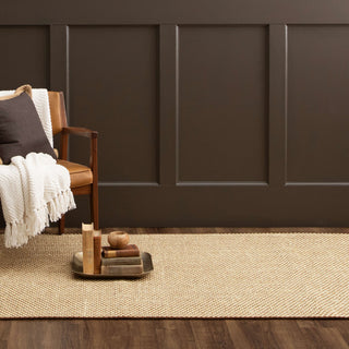 Karastan Modern Classics Basketweave Sisal Neutral Tri Color Area Rug 