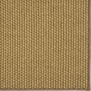 Karastan Modern Classics Basketweave Sisal Tigers Eye Area Rug