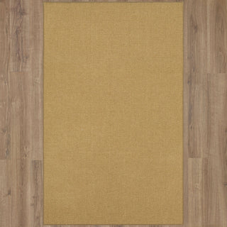 Karastan Modern Classics Basketweave Sisal Tigers Eye Area Rug 