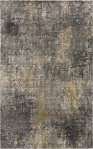 Karastan Tryst Botan Anthracite Area Rug 