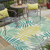 Karastan Drew and Jonathan Outdoor Campo Wintergreen Area Rug Room Scene Featured