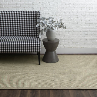 Karastan Modern Classics Double Weave Jute Moonstruck Area Rug