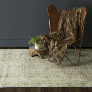 Karastan Evolution Fable Tan Area Rug