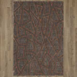 Karastan Soiree Gibson Smokey Grey Area Rug on Wood 