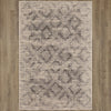 Karastan Axiom Inkle Dove Area Rug on Wood 