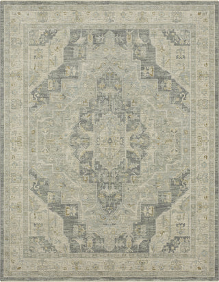 Karastan Adalia Kumra Dark Gray Area Rug Main Image 7'10''x10'3'' Size 