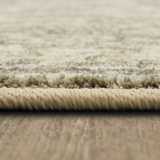 Karastan Touchstone Le Jardin Willow Gray Area Rug by Patina Vie Close up edge