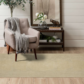 Karastan by (Series 2) Luna Cream Area Rug Bobby Berk Room Scene Featured