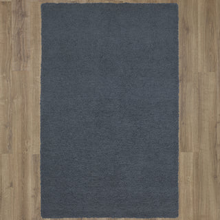 Karastan Malobar Shag Loop Blue Area Rug on Wood 