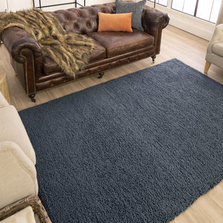 Karastan Malobar Shag Loop Blue Area Rug Room Scene 2 