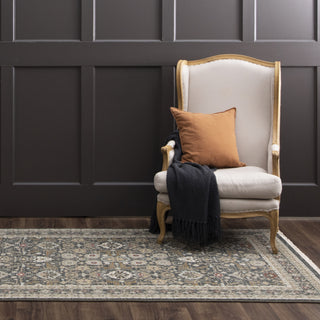 Karastan Titanium Masque Charcoal Area Rug Main Image