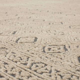 Karastan Bobby Berk (Series 1) Minuet Frost Grey Area Rug Close Up 