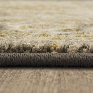 Karastan Touchstone Nore Willow Grey Area Rug Pile