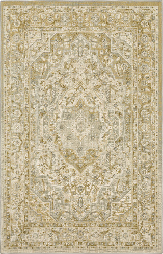 Karastan Touchstone Nore Willow Grey Area Rug 5'3"x7'10"